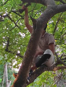 Monkey Man 写真素材