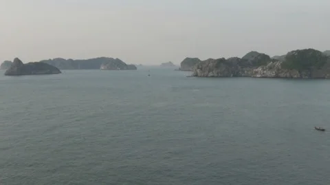 Monkey in mount top of island beach scenario Lan Ha bay, Vietnam (D) Stock Footage 101973849