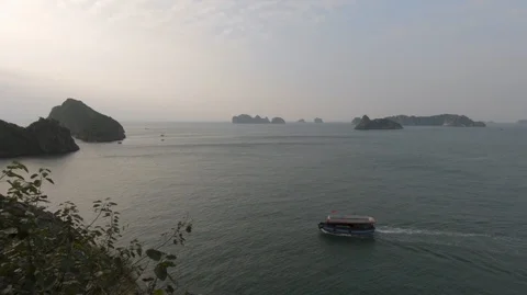 Monkey in mount top of island beach scenario Lan Ha bay, Vietnam (E) Stock Footage 101973871