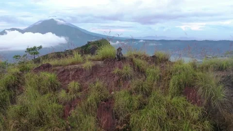 Monkey on a Mountain Top Batur Bali Drone Shot Stock Footage 144044363