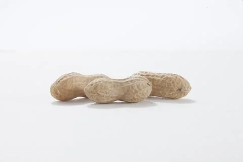 Monkey nuts Stock Photos