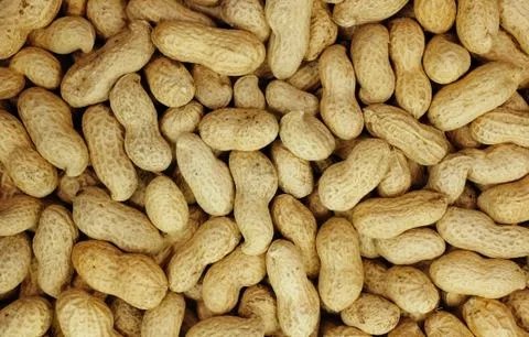 Monkey nuts in shells abstract background texture Foto stock