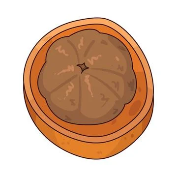 Monkey Orange illustration Stock Illustration
