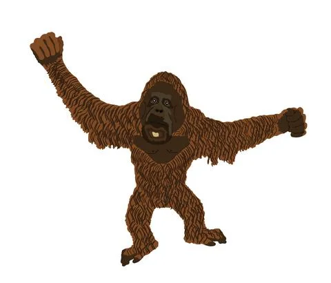 Monkey orangutan vector illustration isolated on white Illustrazione stock