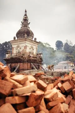 Monkey at Pashupatinath 库存照片