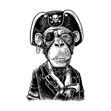 Monkey pirate with gun dressed in a cocked hat. Engraving Stock Illustration
