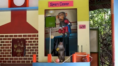 Monkey play Basketball in Circus at Hon Lao Island, or Monkey Island Stock Footage 122285595