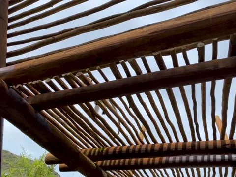 Monkey playing on wooden frame at Addo Elephant Park, South Africa. Travel, s Stock Footage 181495962