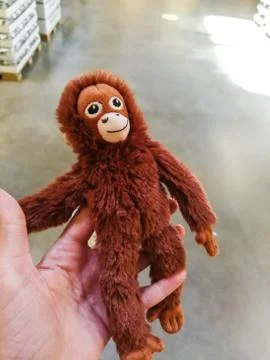 Monkey plush toy Stock Photos