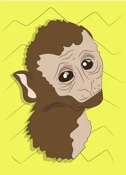 Monkey portrait, on a colored background Stock-Illustration