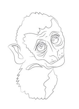 Monkey portrait, lines, vector Stock Illustration