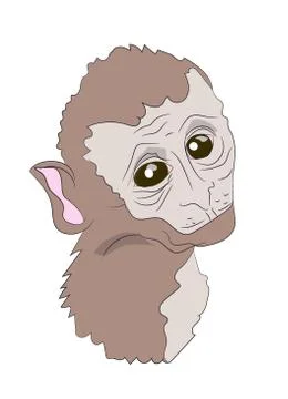 Monkey portrait,  vector Illustrazione stock