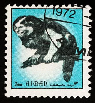 Monkey on postage stamp Stock Photos
