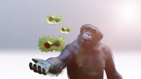 Monkey pox virus of animal origin and monkey render 3d Stock-Footage 196005427