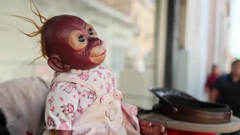 Monkey Puppet Wearing Pink Clothes On Sidewalk In Historic Queretaro City Stock Footage 343694997