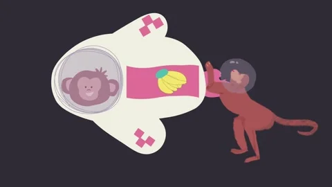 A monkey pushes a broken spaceship while its friend controls from inside Stock Footage 312664481