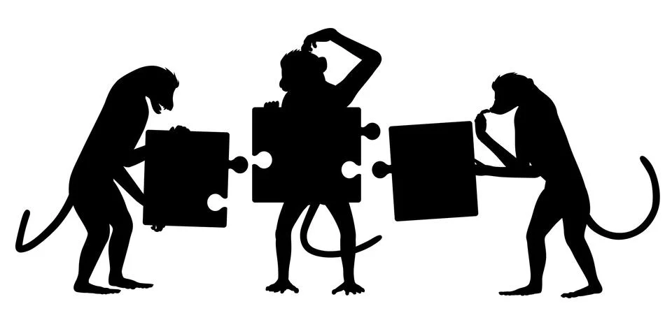Monkey puzzle silhouette Stock Illustration