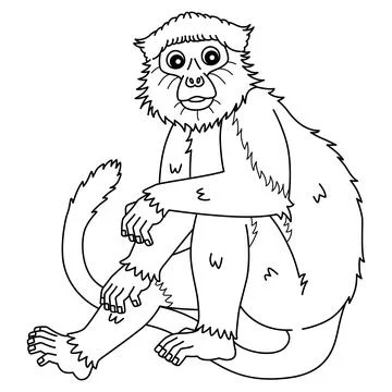 Monkey Red Colobus Isolated Coloring Page for Kids Stock Illustration