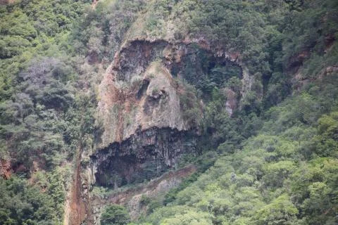 Monkey rock face 库存照片