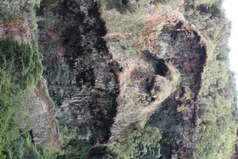 Monkey rock face Stock Photos