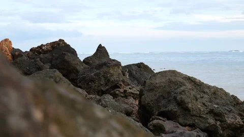 MONKEY ON ROCK Stock Footage 221302281