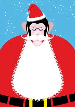 Monkey Santa Claus. Monkey with beard and mustache. Primate red Christmas clo Stock Illustration