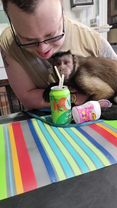 Monkey Shares a V-8 With His Friend, Pratt, West Virginia, USA - 07 Sep 2025 Stock Footage 321156178
