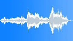Monkey siamang 03 Sound Effect
