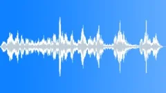 Monkey siamang 04 Sound Effect