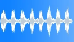 Monkey siamang 05 Sound Effect