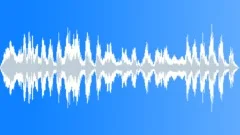 Monkey siamang 06 Sound Effect