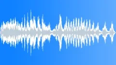 Monkey siamang 07 Sound Effect