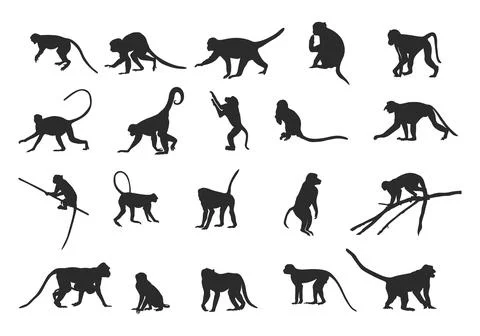 Monkey silhouettes, Monkey silhouette collection, Sitting monkey silhouette. Stock Illustration