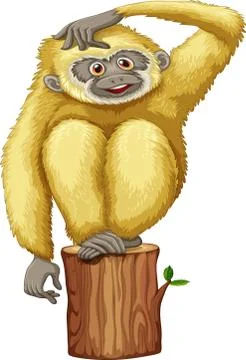 The monkey sits on foam Stock Illustration