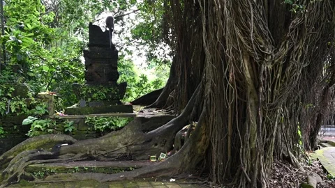 Monkey sits on temple shrine in Ubud Stock Footage 339075203