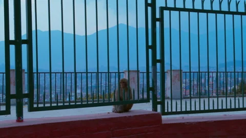 Monkey Sitting Next To Fence at Temple and Mountains in Kathmandu Nepal Asia Stock-Footage 168579287