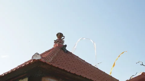 Monkey sitting on roof with spectacles. Stock Footage 274181365