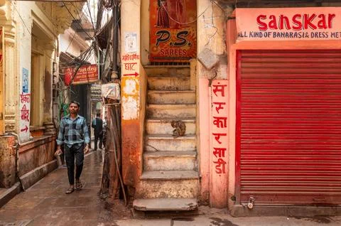 Monkey sitting on steps beside closed shops and people walking in an alleyway in Stock Photos