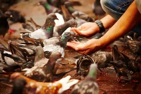 Monkey sitting on a stone structure 库存照片