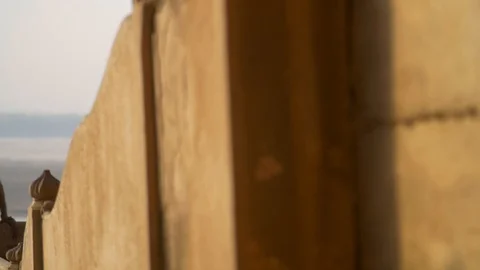 Monkey sitting on a wall Stock Footage 92473714