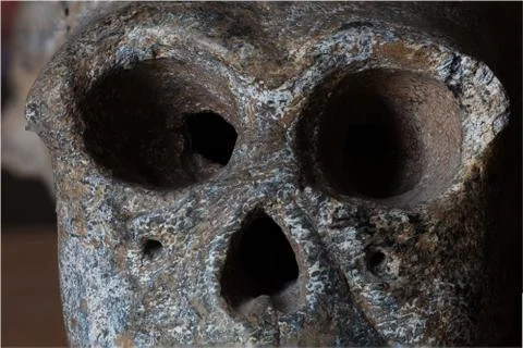 Monkey skull isolated Stock Photos