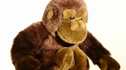 Monkey soft toy 動画素材 33580108