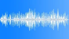 MONKEY Sound Effect