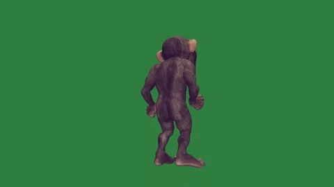 A monkey is standing Stock Footage 337029353