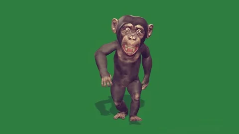 A monkey is standing isolated isolated on green screen background Stock Footage 336890433
