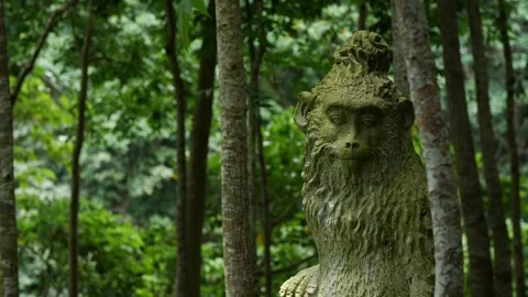 Monkey statue 21 Stock Footage 260181017