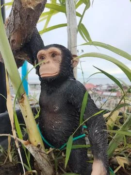 Monkey statue Stock Photos
