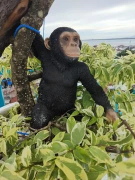 Monkey statue Stock Photos