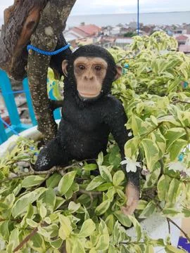 Monkey statue Stock Photos