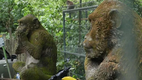 Monkey statues 51 Stock Footage 260181028